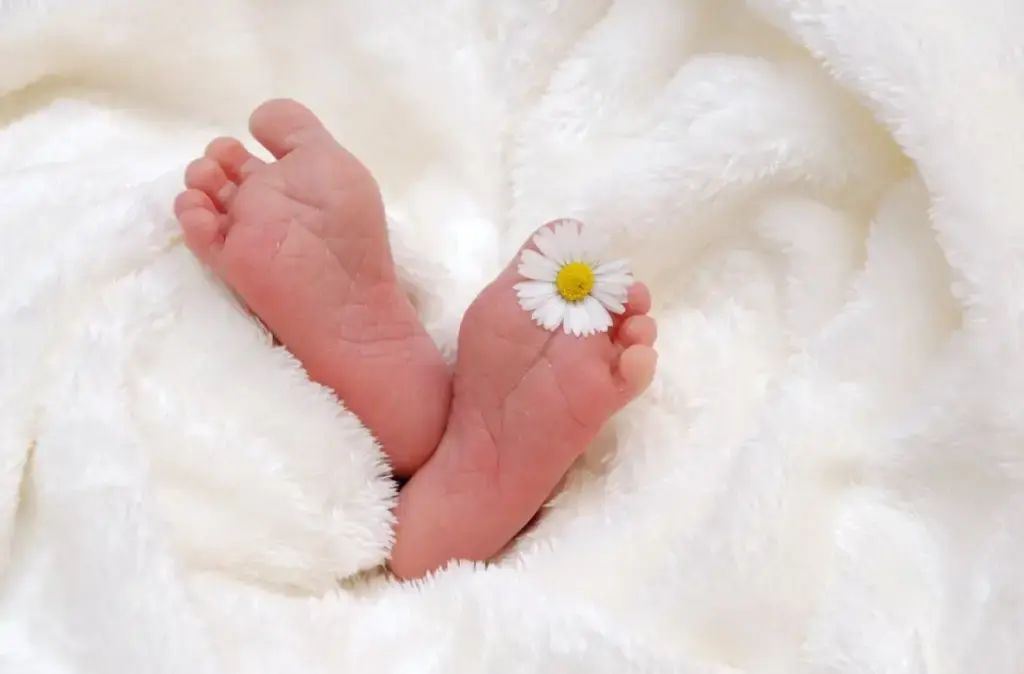 歡迎新生兒!台灣新生兒禮物推薦指南